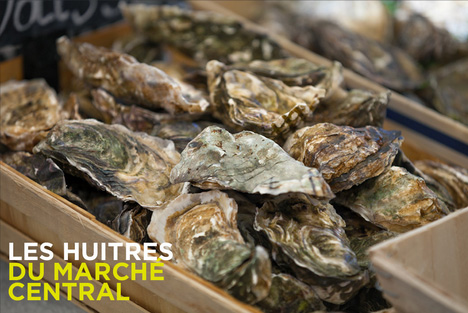 Les Huitres  du marché central