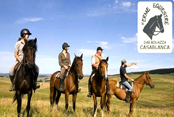 La Ferme Equestre de Dar Bouazza